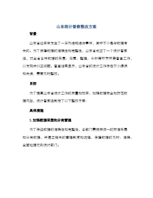 山东统计督察整改方案