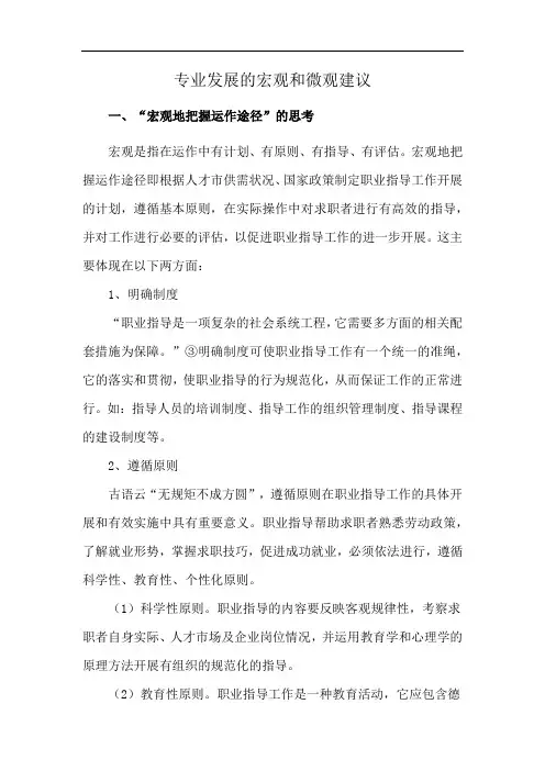 专业发展的宏观和微观建议