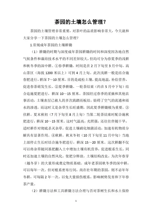 茶园的土壤怎么管理？