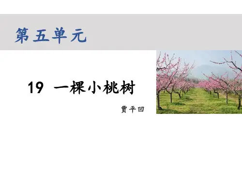 第19课《一棵小桃树》(共24张ppt)   22-23部编版语文七年级下册