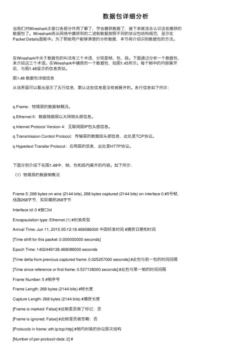 数据包详细分析