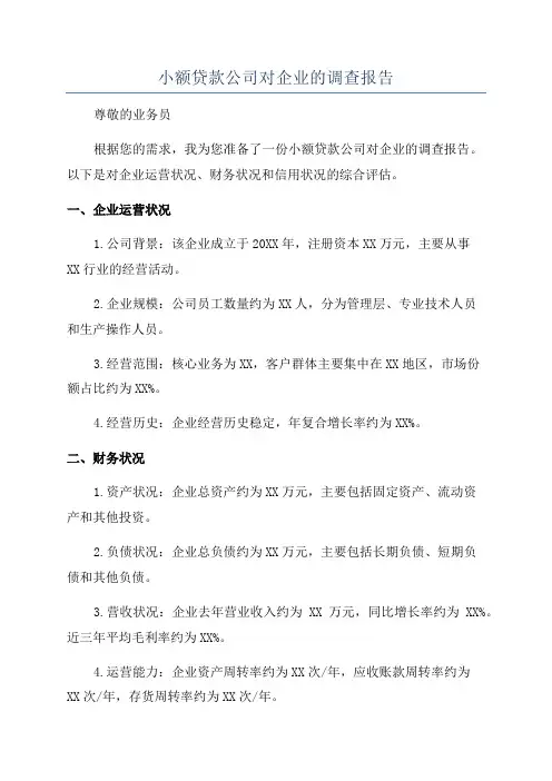 小额贷款公司对企业的调查报告