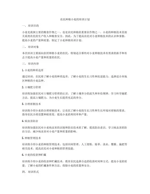 农民种植小麦的培训计划
