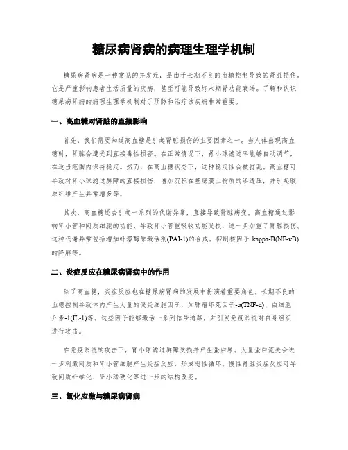 糖尿病肾病的病理生理学机制