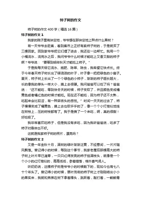 柿子树的作文400字（精选16篇）
