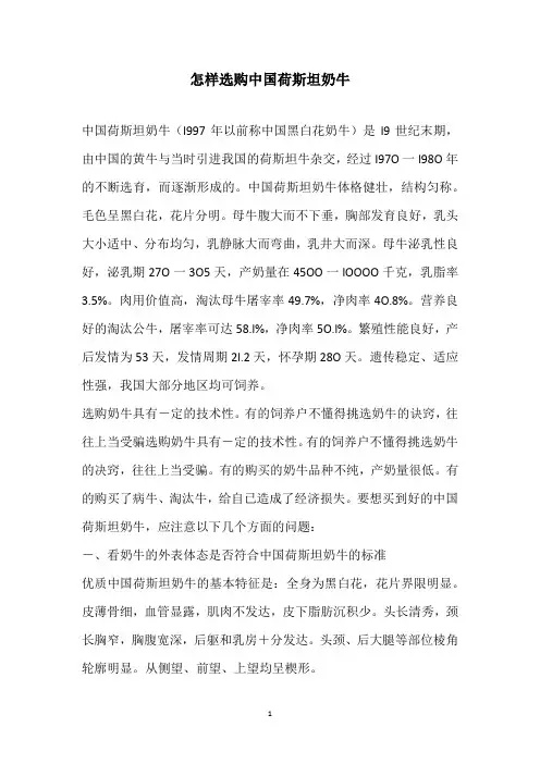 怎样选购中国荷斯坦奶牛
