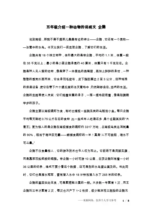 五年级介绍一种动物的说明文 企鹅