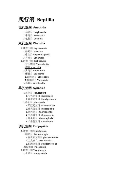 爬行动物分类表