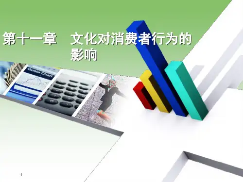 11 第十一章 文化对消费者行为的影响
