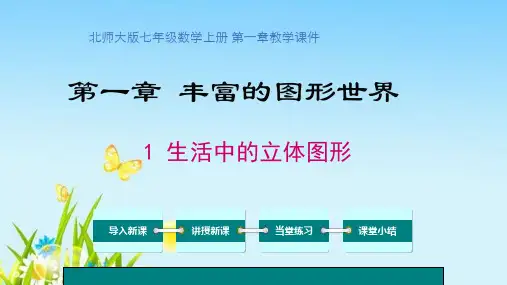北师大版七年级数学上册《第一章丰富的图形世界》PPT教学课件