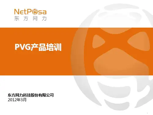 东方网力_PVG网络视频管理平台产品培训