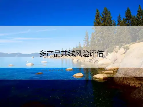 多产品共线风险评估