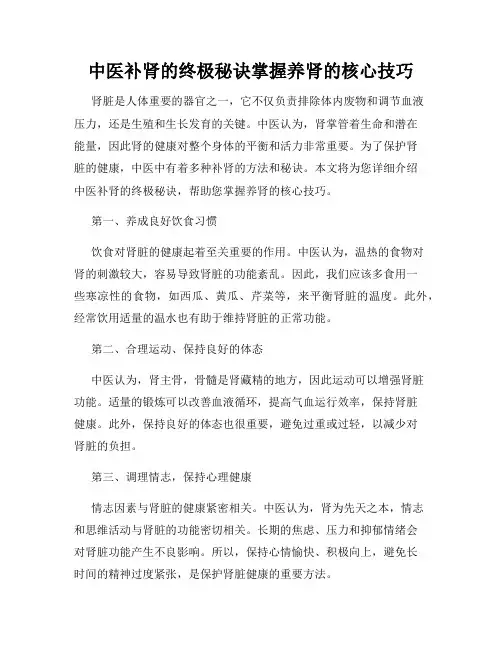 中医补肾的终极秘诀掌握养肾的核心技巧