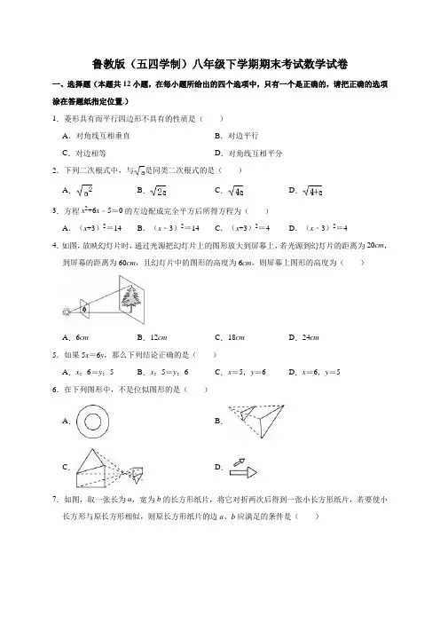 鲁教版(五四学制)八年级下学期期末考试数学试卷(解析版)