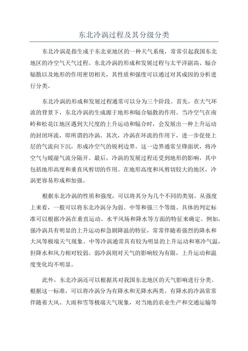 东北冷涡过程及其分级分类
