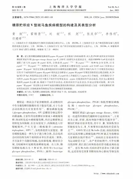 糖原贮积症Ⅴ型斑马鱼疾病模型的构建及其表型分析