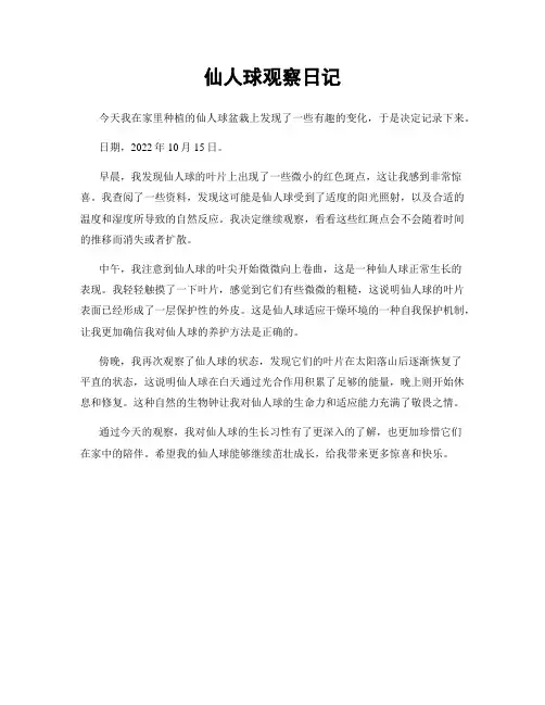 仙人球观察日记