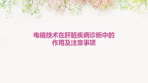 电镜技术在肝脏疾病诊断中的作用及注意事项