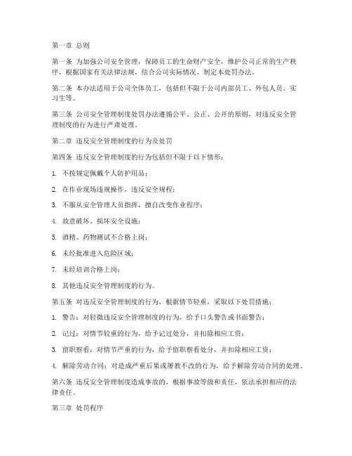 公司安全管理制度处罚办法