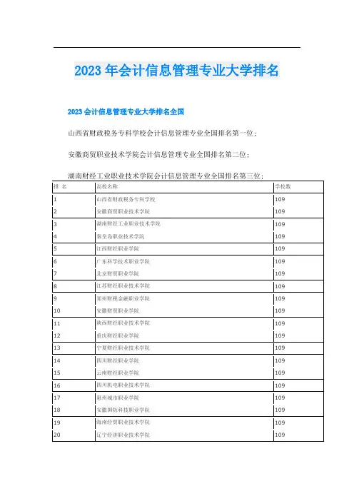 2023年会计信息管理专业大学排名