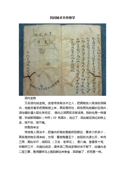 民间秘术不传绝学
