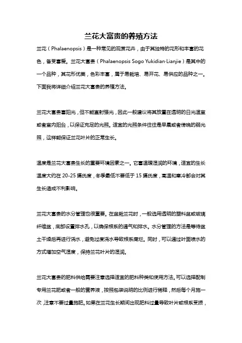 兰花大富贵的养殖方法