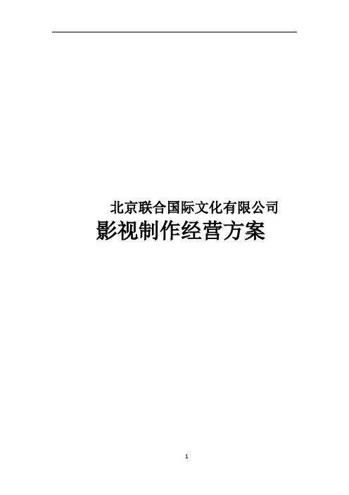 知名影视公司年度经营计划方案