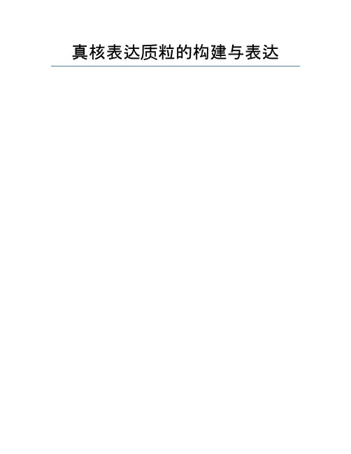 真核表达质粒的构建与表达