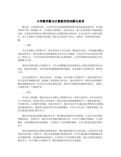 小学数学数与计算教学的回顾与思考