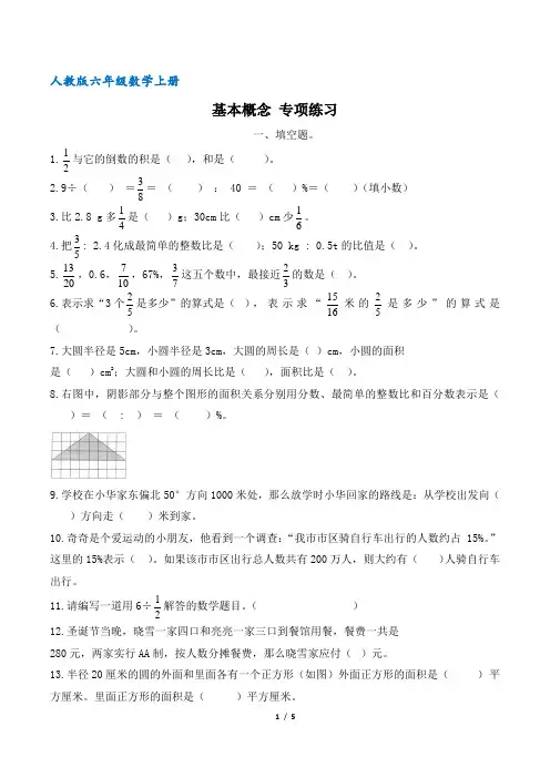 人教版六年级数学上册 专项练习 基本概念(含答案)