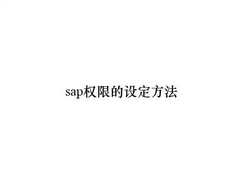 sap权限的设定方法