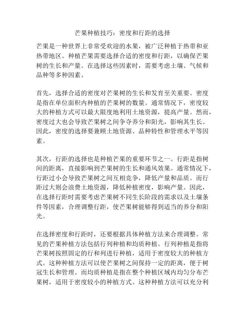 芒果种植技巧：密度和行距的选择