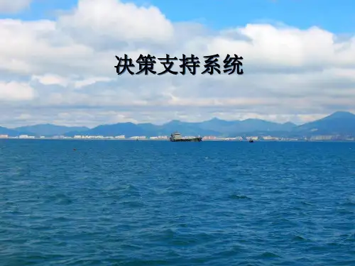 决策支持系统01课件