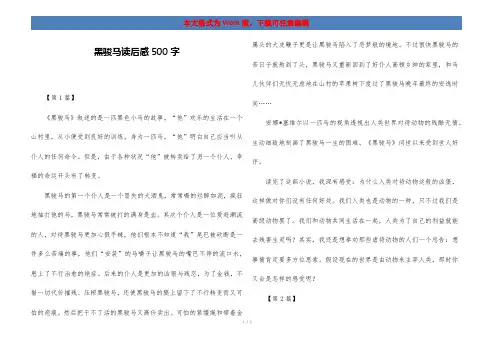 黑骏马读后感500字