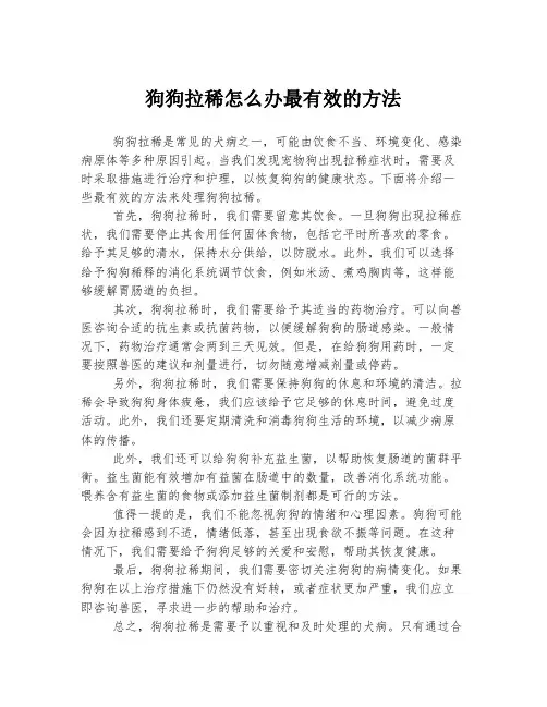 狗狗拉稀怎么办最有效的方法
