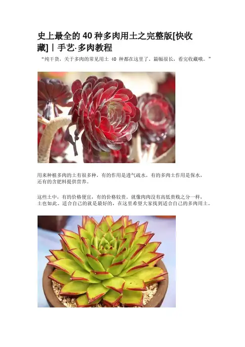 史上最全的40种多肉用土之完整版