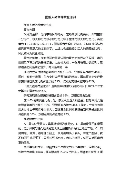 图解人体各种黄金比例