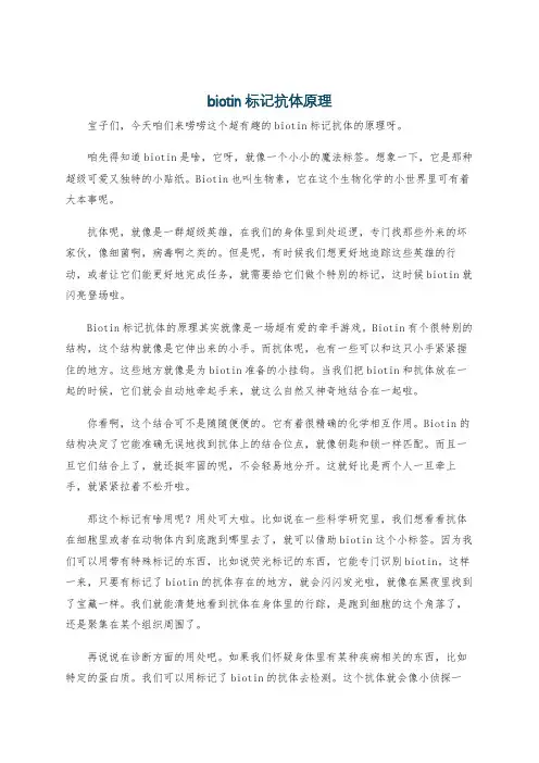 biotin标记抗体原理