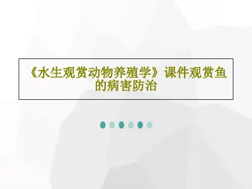 《水生观赏动物养殖学》课件观赏鱼的病害防治共52页