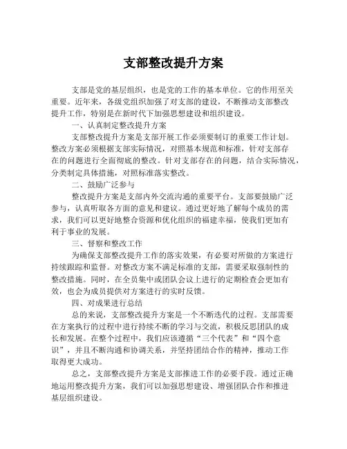 支部整改提升方案