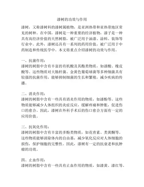 漆树的功效与作用