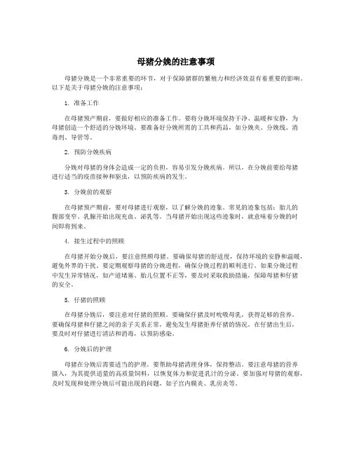 母猪分娩的注意事项