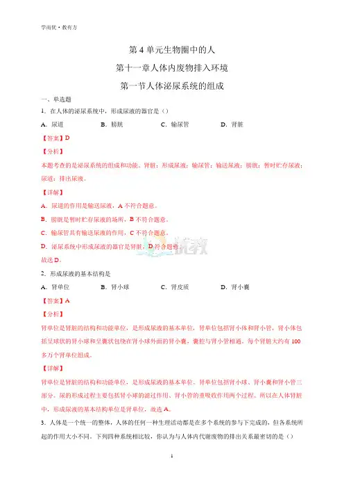 《人体泌尿系统的组成》提升训练(解析版)