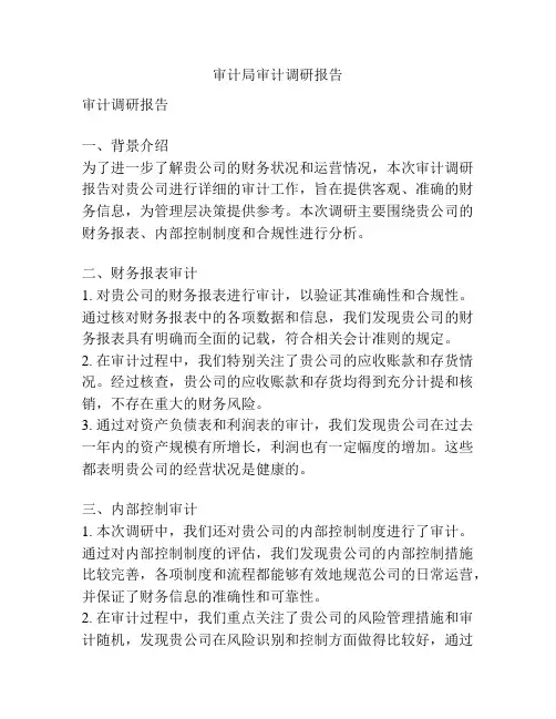 审计局审计调研报告