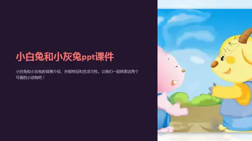 小白兔和小灰兔课件
