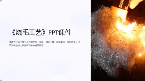 《烧毛工艺》课件
