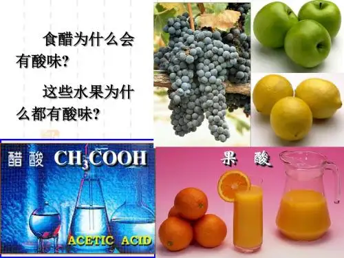 常见的酸和碱常见的酸ppt课件
