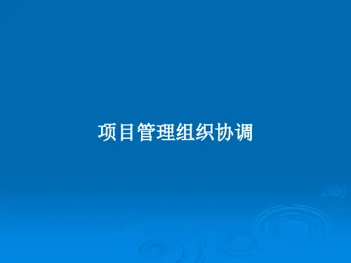 项目管理组织协调PPT教案