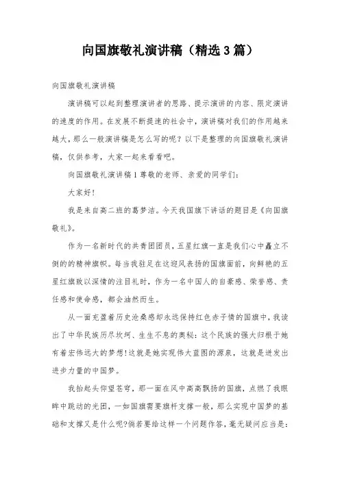 向国旗敬礼演讲稿(精选3篇)