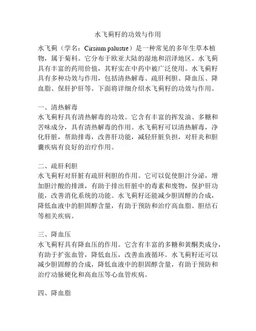 水飞蓟籽的功效与作用